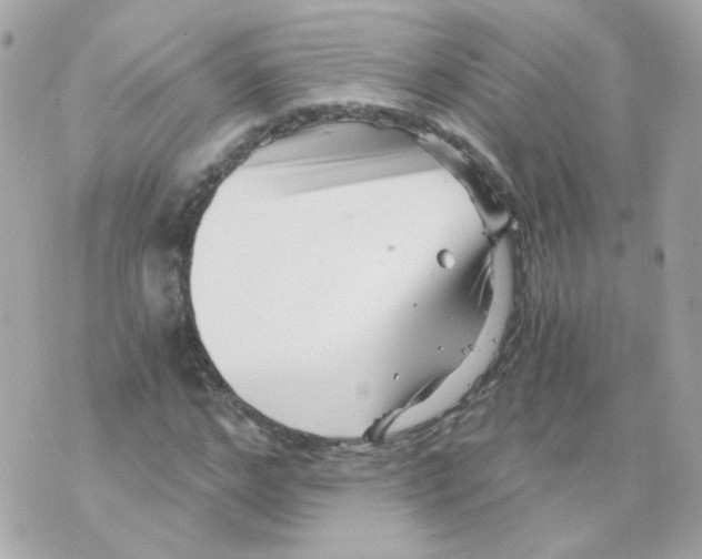 X0000069830968200606161936