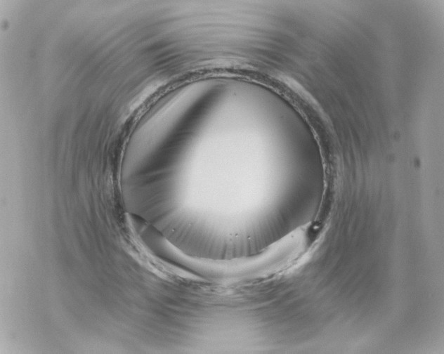 X0000069830969200606161936