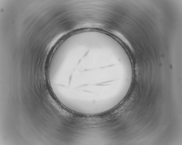 X0000069830972200606161936