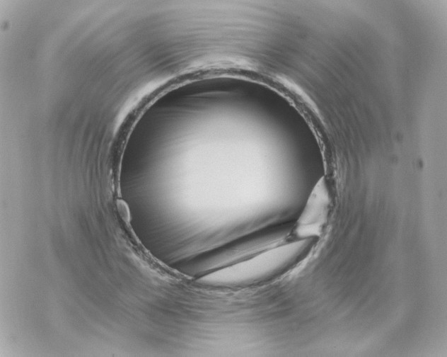 X0000069830973200606161936