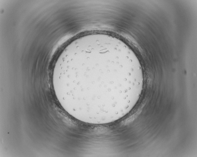 X0000069830974200606161936