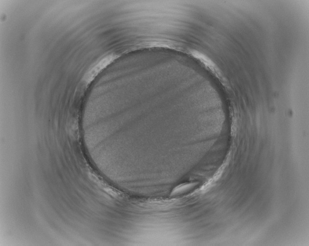 X0000069830977200606161936