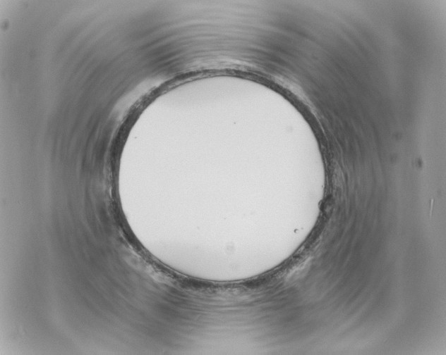 X0000069830979200606161936