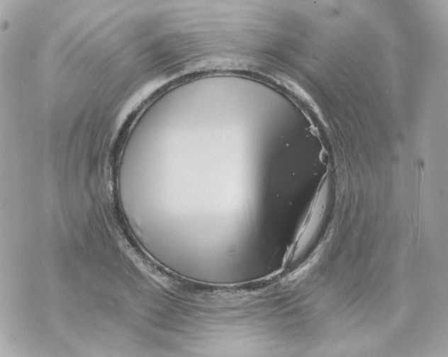 X0000069830981200606161936