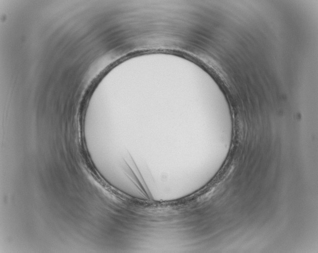 X0000069830982200606161936