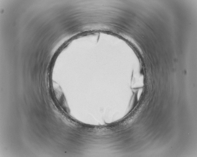 X0000069830983200606161936