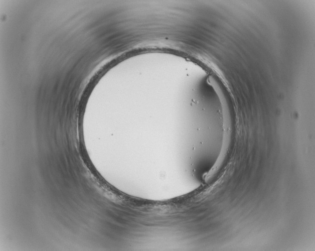 X0000069830984200606161936