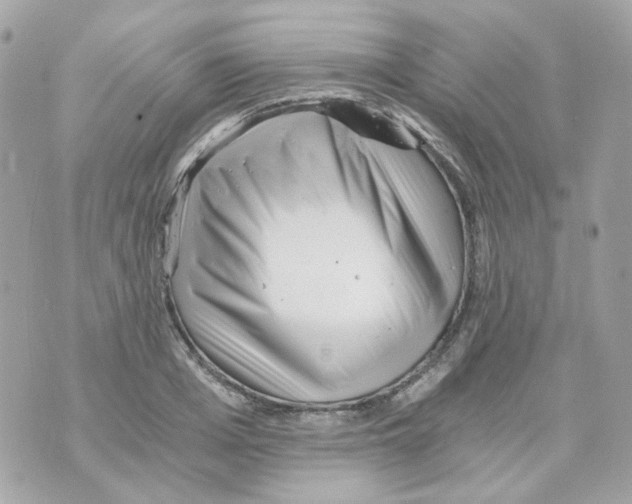 X0000069830985200606161936