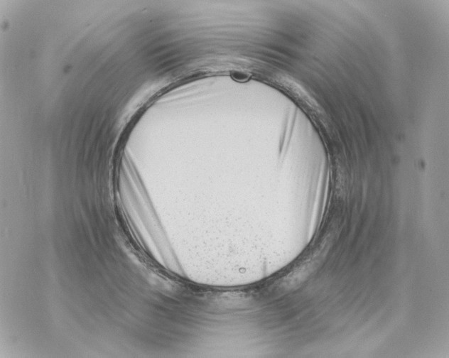 X0000069830986200606161936