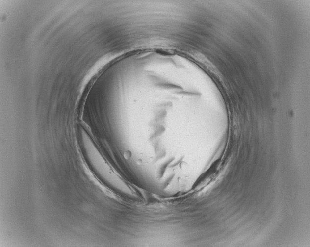 X0000069830989200606161936