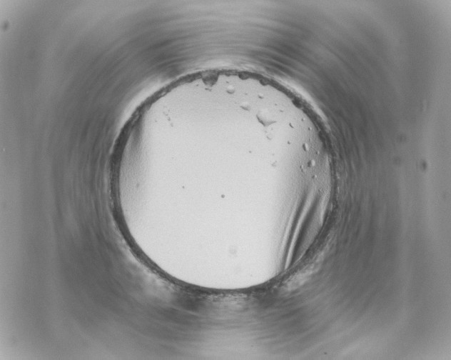 X0000069830991200606161936