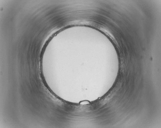 X0000069830992200606161936