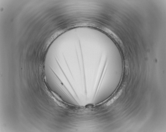 X0000069830993200606161936