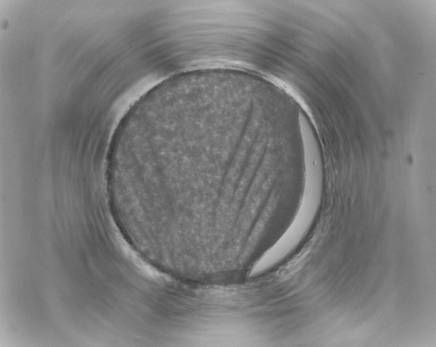 X0000069830995200606161936