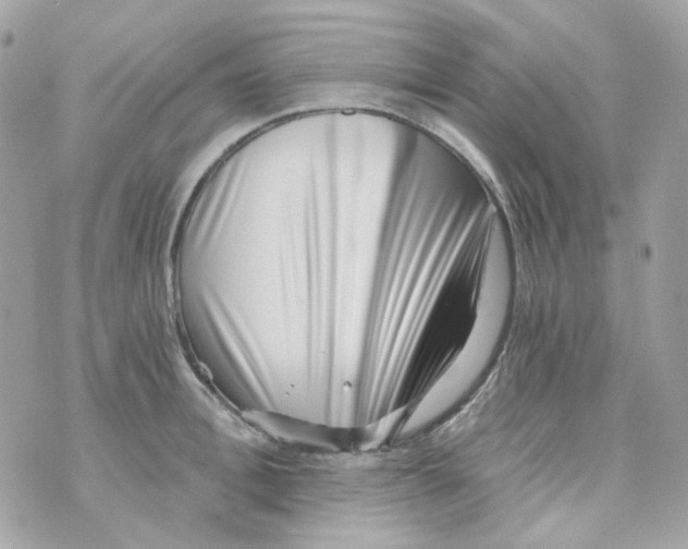 X0000069830996200606161936