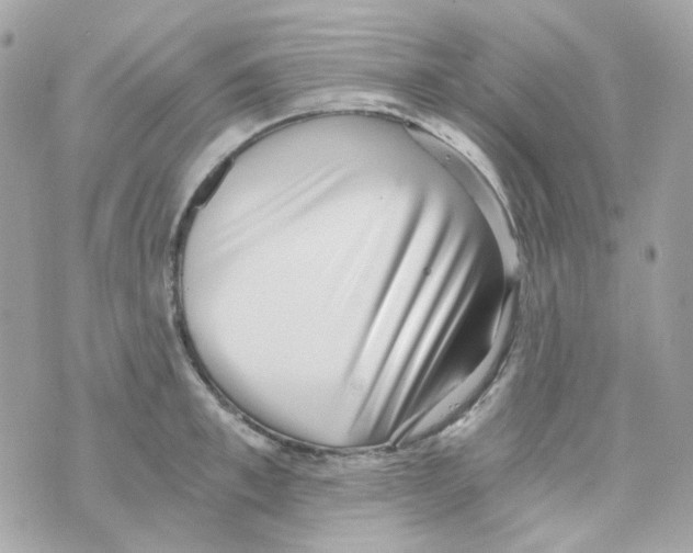 X0000069830997200606161936