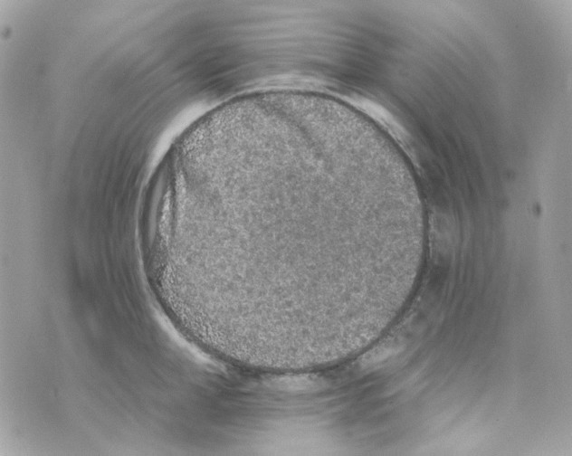 X0000069830998200606161936