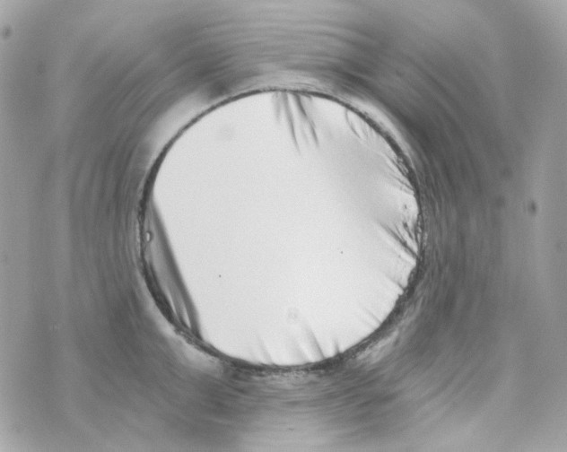 X0000069830999200606161935