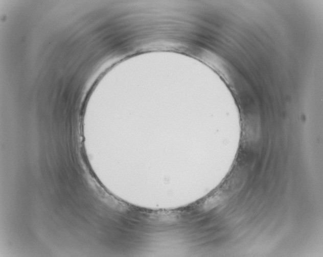 X0000069831000200606161935