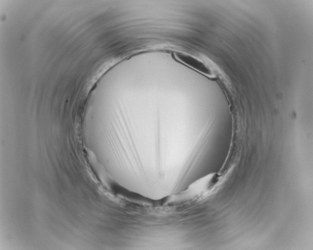 X0000069831001200606161935