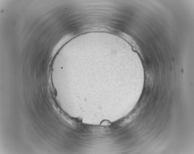 X0000069831002200606161935