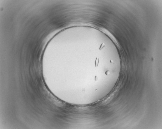 X0000069831004200606161935