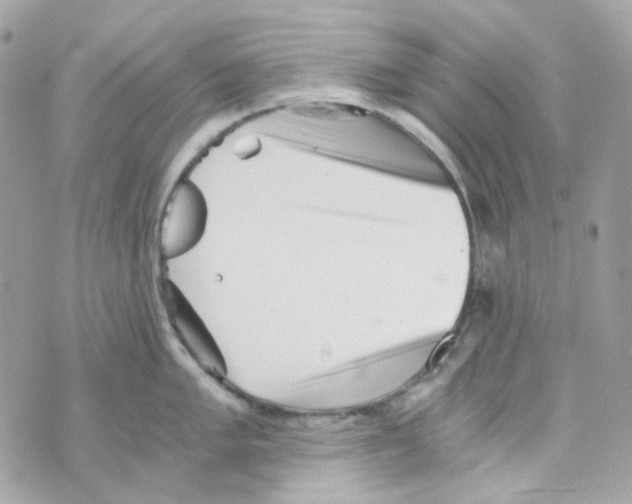 X0000069831005200606161935