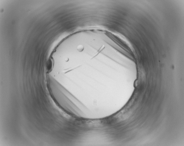 X0000069831006200606161935