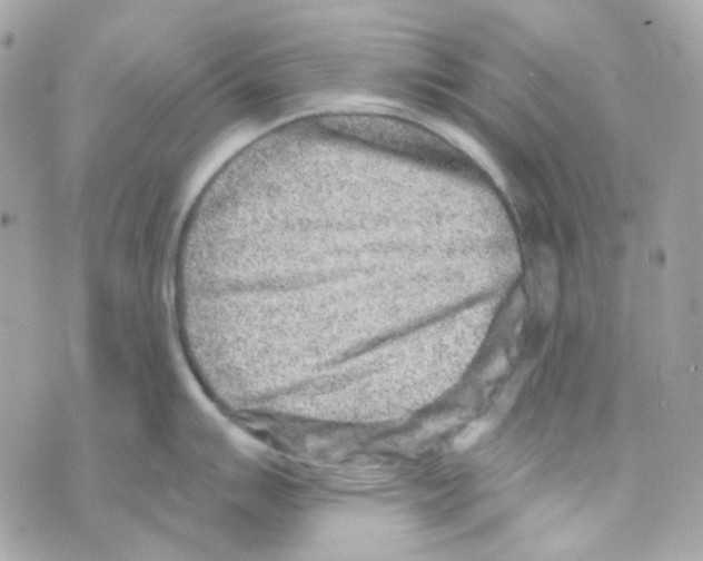 X0000069831007200606161935