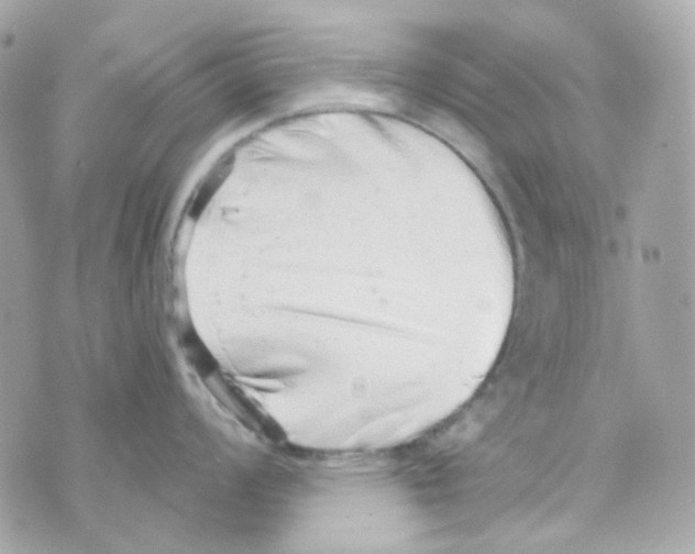 X0000069831008200606161935