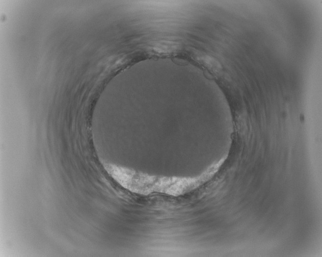 X0000069831009200606161935