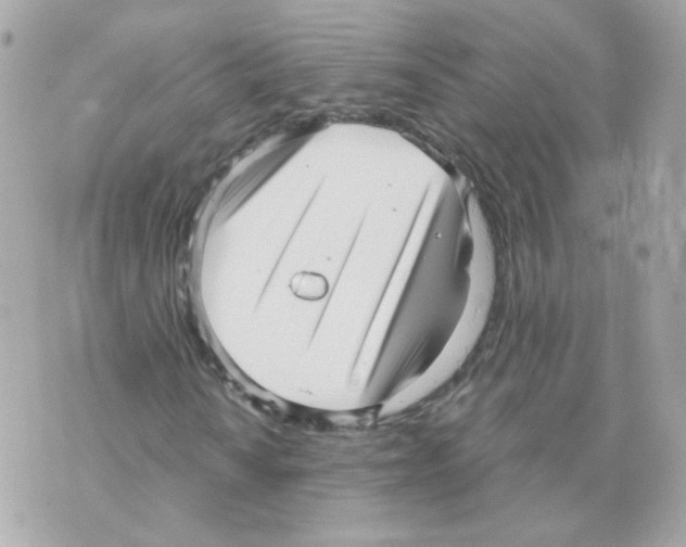 X0000069831010200606161935