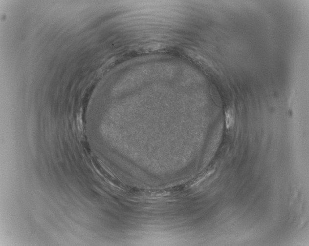 X0000069831011200606161935