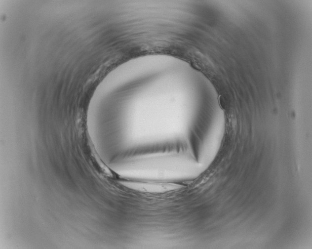 X0000069831012200606161935