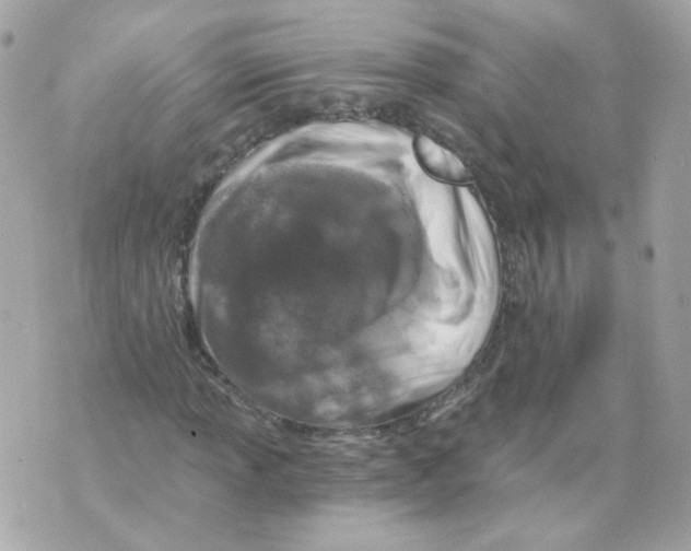 X0000069831013200606161935