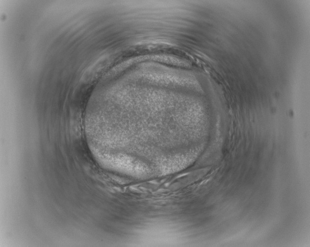 X0000069831014200606161935