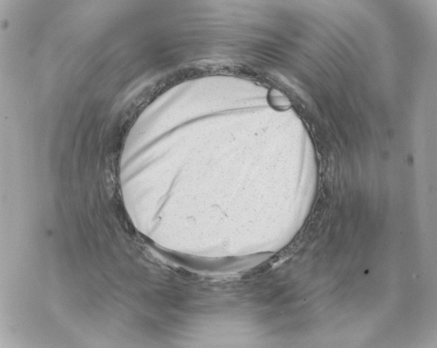 X0000069831015200606161935