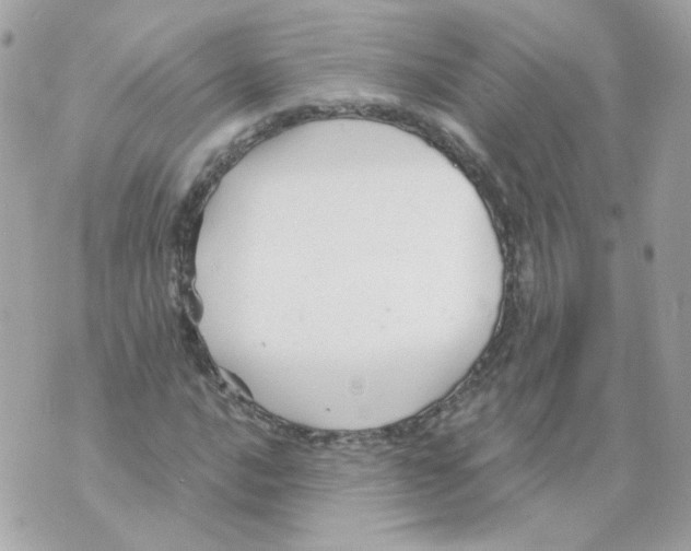 X0000069831016200606161935