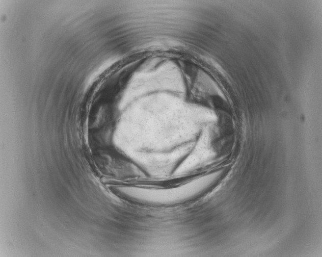 X0000069831018200606161935