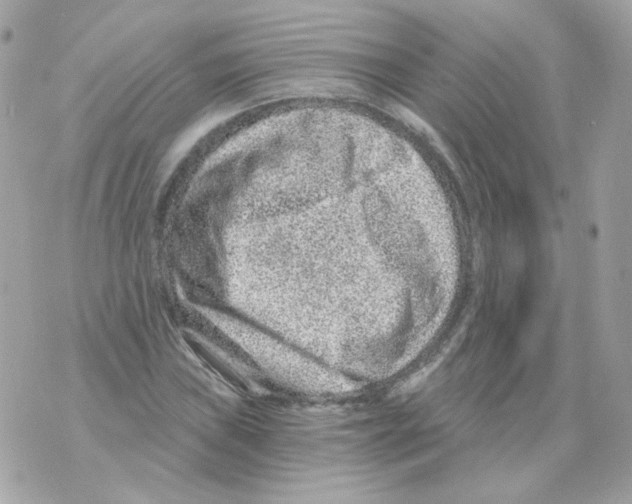 X0000069831019200606161935