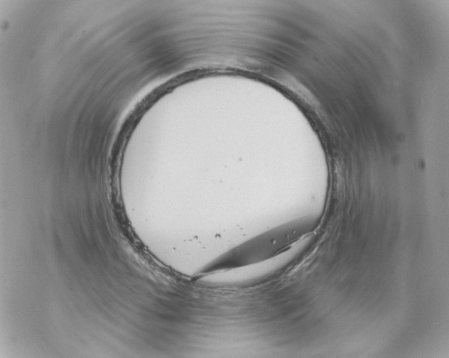 X0000069831020200606161935