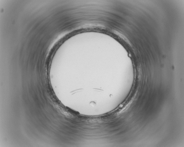 X0000069831021200606161935