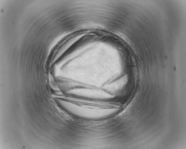 X0000069831022200606161935