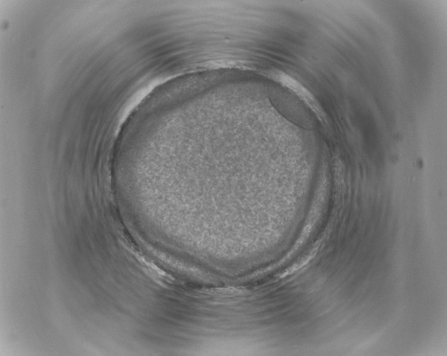 X0000069831023200606161935