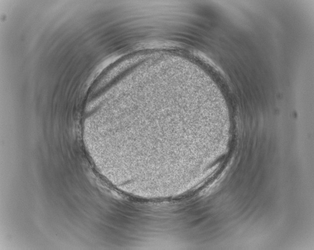 X0000069831025200606161935