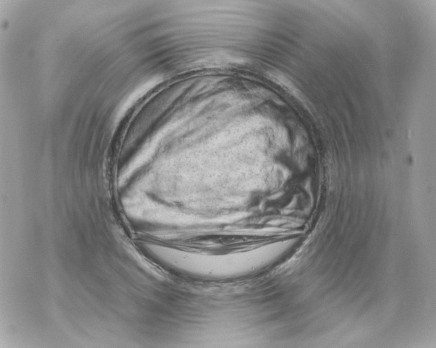 X0000069831026200606161935