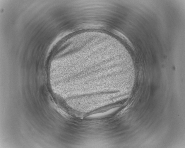 X0000069831027200606161935