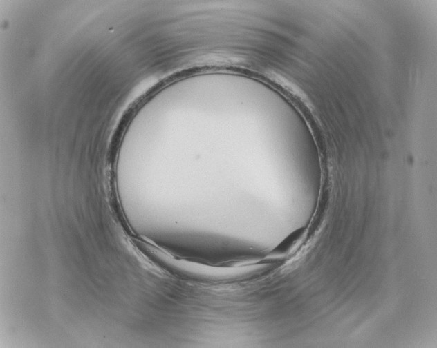 X0000069831029200606161935