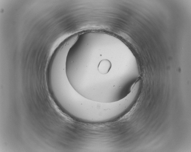 X0000069831030200606161935