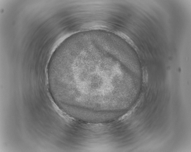 X0000069831031200606161935